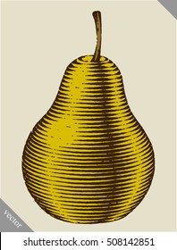 Engraved isolated engrave vector illustration of a pear