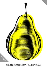 Engraved isolated engrave vector illustration of a pear