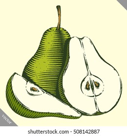 Engraved isolated engrave vector illustration of a pear