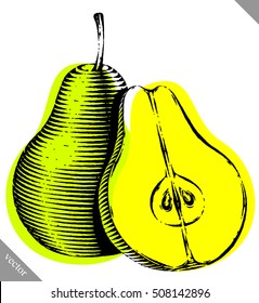 Engraved isolated engrave vector illustration of a pear