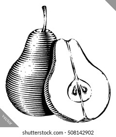 Engraved isolated engrave vector illustration of a pear