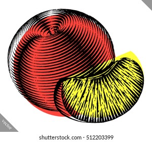Engraved isolated engrave vector illustration of a peach