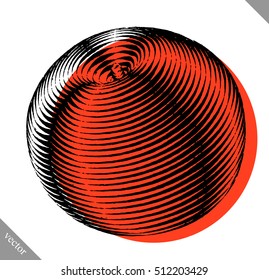 Engraved isolated engrave vector illustration of a peach