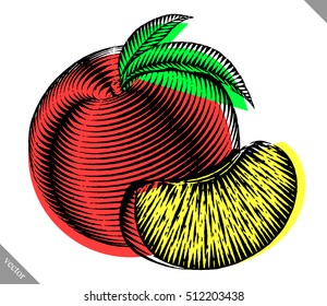 Engraved isolated engrave vector illustration of a peach