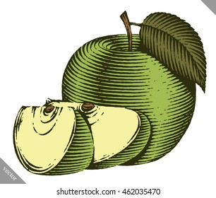 Engraved isolated vector illustration of an apple