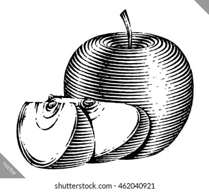 Engraved isolated vector illustration of an apple
