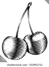 Engraved isolated vector illustration of a cherry