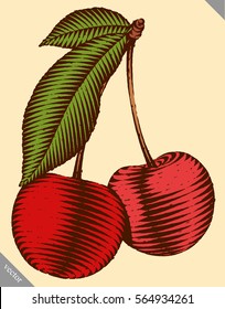 Engraved isolated vector illustration of a cherry