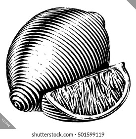 Engraved isolated vector illustration of a lemon