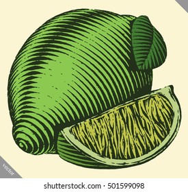 Engraved isolated vector illustration of a lime