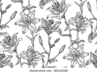 Engraved lily. Seamless pattern