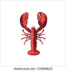Engraved lobster icon illustration. Premium quality flat icon.