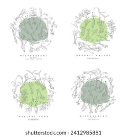 Engraved microgreens round labels set on green watercolor stain. Vitamins organic raw sprouts with leaves, healthy food. Vector hand drawn natural watercress, clover, coriander others salad herbs