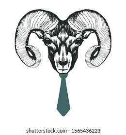 Engraved Mutton Snout with Huge Horns Wearing Human Tie Vector Illustration. Highly Detailed Animal Muzzle Drawn in Sketched Style. Antropomorphic Concept