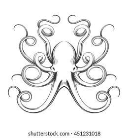 Engraved octopus vector illustration. Hand drawn giant octopus isolated on white background