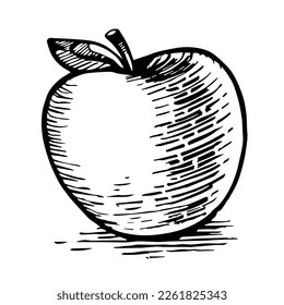 Engraved organic food hand drawn sketch engraving illustration