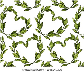 Engraved pattern of green tea leaves in heart shape isolated on white background. Sketch drawing  japanese matcha wallpaper. Bay leaf, olive leaves, laurel, botanical wreath. Vector illustration.