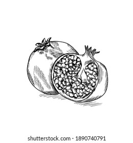  Engraved pomegranate  fruit. Hand drawn etching black and white illustration in sketch style.