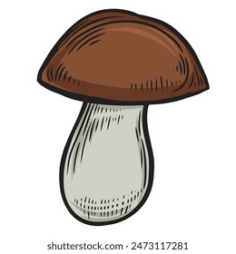 Engraved porcini mushroom line drawing vector illustration.