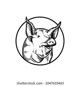 engraved pork. sketch of pig