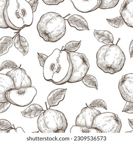 Engraved quince pattern. Engraving quinces fruits retro seamless background vintage vector illustration, cydonia apples drawing sketch endless texture