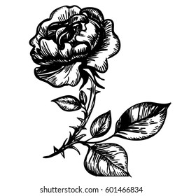 Engraved Rose Vector Stock Vector (Royalty Free) 601466834 | Shutterstock