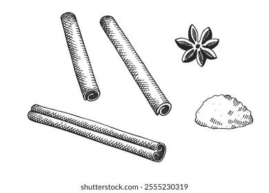 Engraved sketch with Cinnamon sticks, bark brown spice. Hand drawn vector set with rolled cinnamons, flower on isolated background. Spicy seasoning, condiment aromatic ingredient for cooking, bakery