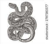 Engraved style drawing of a coiled rattlesnake with rattlesnake illustration engraving wildlife