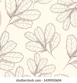 Engraved style leaf seamless pattern. Hand drawn vector illustration. Design for vintage packaging.