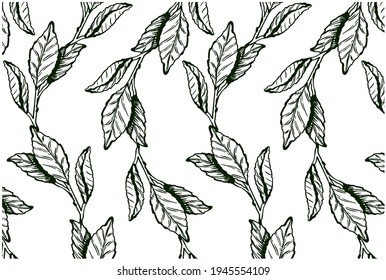 Engraved Tea Leaves Pattern Isolated On White Background. Sketch Hand Drawn Wallpaper Of Matcha Tea Leaf. Botanical, Asian, Organic, Plant, Garden, Line Art, Outline. Vector Illustration