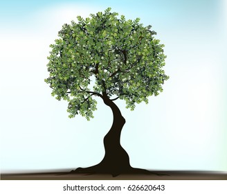 Engraved tree. Vector illustration of a fruit  in vintage engraving, tree on white background