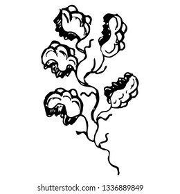 Engraved Vector Hand Drawn Illustrations Of Abstract Oak Branch Isolated on White. Hand Drawn Sketch of a Flower.