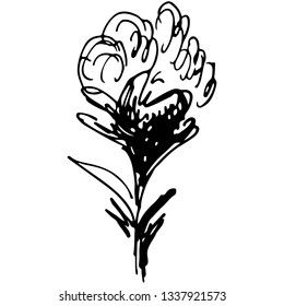Engraved Vector Hand Drawn Illustrations Of Abstract Flowers Isolated on White. Hand Drawn Sketch of a Flower
