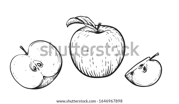 最も選択された 白黒 りんご イラスト リアル 白黒 りんご イラスト リアル Jpsaepictj3yb