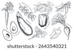 Engraved vegetable set with hand-drawn illustrations: spinach, beet, carrot, basil, avocado, bell pepper, chili, cherry tomatoes, peas, and eggplant. Perfect for menus, packaging, and eco branding.