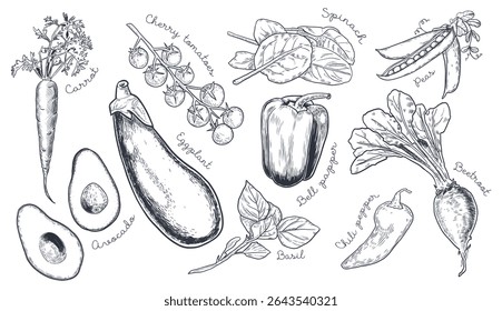 Conjunto vegetal gravado com ilustrações desenhadas à mão: espinafre, beterraba, cenoura, manjericão, abacate, pimenta, pimentão, tomate cereja, ervilhas e berinjela. Perfeito para menus, embalagens e marca ecológica.