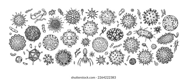 Engraved viruses and bacteria isolated on white background. Different types of microscopic microorganisms. Vector illustration in sketch style