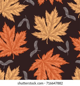 Engraving autumn maple seamless pattern. Detailed hand drawn autumn background. Illustration for textiles, gift packaging, paper, interior design, cover, wallpaper, curtains.