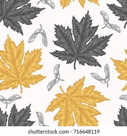 Engraving autumn maple seamless pattern. Detailed hand drawn autumn background. Illustration for textiles, gift packaging, paper, interior design, cover, wallpaper, curtains.
