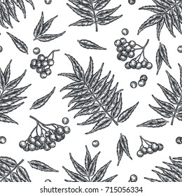Engraving autumn rowanberry seamless pattern. Detailed vector background of hand drawn berries and leaves. Vintage seasonal decor.