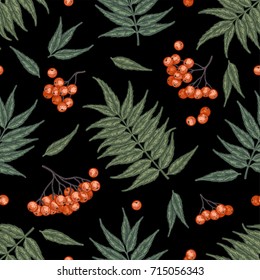 Engraving autumn rowanberry seamless pattern. Detailed vector background of hand drawn red and orange berries and leaves. Vintage seasonal decor.