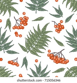 Engraving autumn rowanberry seamless pattern. Detailed vector background of hand drawn red and orange berries and leaves. Vintage seasonal decor.