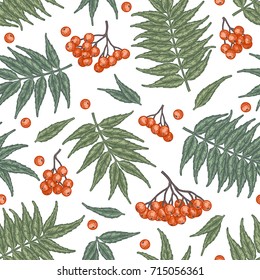 Engraving autumn rowanberry seamless pattern. Detailed vector background of hand drawn red and orange berries and leaves. Vintage seasonal decor.