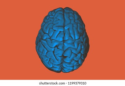 Engraving blue human brain on top view crosshatch drawing isolated on orange background