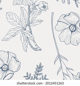 Patrón botánico de grabado. Patrón botánico herbal. Hoja natural. Florecimiento del contorno grabado. Papel pintado de flores. Composición decorativa de hierbas forestales, ornamento. Obra de arte de flores ecológicas. Ilustración vectorial.  