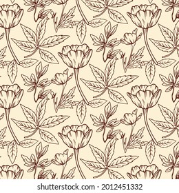 Engraving botanical pattern. Herbal botany pattern. Nature leaf. Engraved outline blossom. Flora wallpaper. Forest herb decorative composition, ornament. Eco floral artwork. Vector illustration.  