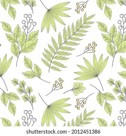 Patrón botánico de grabado. Patrón botánico herbal. Hoja natural. Florecimiento del contorno grabado. Papel pintado de flores. Composición decorativa de hierbas forestales, ornamento. Obra de arte de flores ecológicas. Ilustración vectorial.  