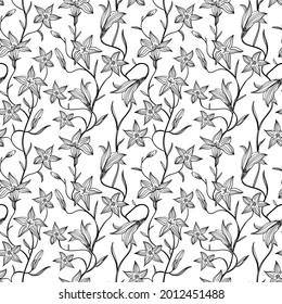 Patrón botánico de grabado. Patrón botánico herbal. Hoja natural. Florecimiento del contorno grabado. Papel pintado de flores. Composición decorativa de hierbas forestales, ornamento. Obra de arte de flores ecológicas. Ilustración vectorial.  