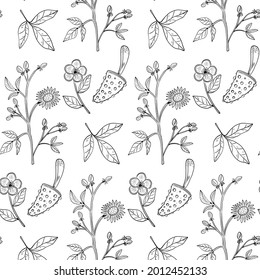 Patrón botánico de grabado. Patrón botánico herbal. Hoja natural. Florecimiento del contorno grabado. Papel pintado de flores. Composición decorativa de hierbas forestales, ornamento. Obra de arte de flores ecológicas. Ilustración vectorial.   