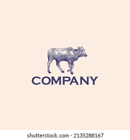 engraving cattle hand drawing vector
